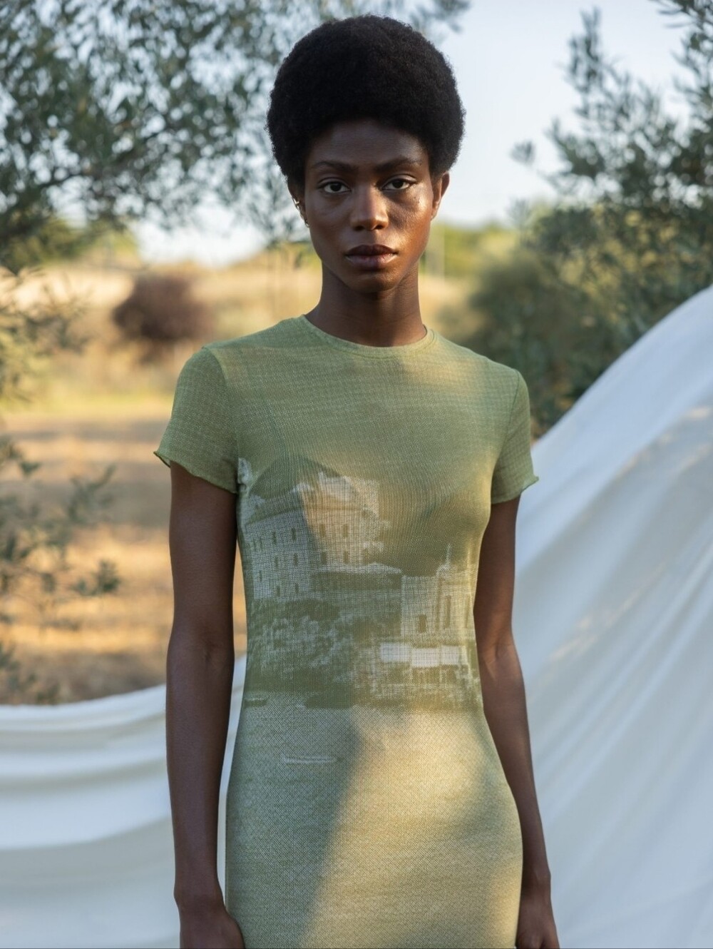 Esthe Sheer Olive Green Graphic Midi Dress - Picture 7 of 7